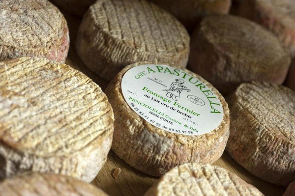 Fromagerie : GAEC A Pasturella, Corte - Corse