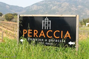 A Peraccia, Vin - Corse