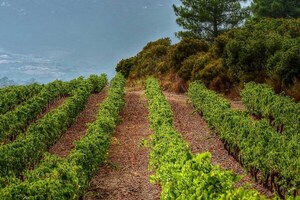 Domaine 'Alzipratu