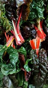 Swiss Chard