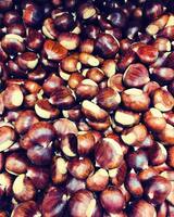 Corsican Chestnuts