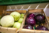 Organic Green and Red Cabbages