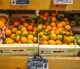 Organic Corsican Clementines