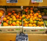 Clementine corse bio