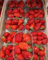 Korsische Bio Erdbeeren