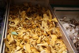 Finferli - Negozio bio La Roulotte - Furiani, Corsica