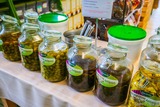 Antipasti bio di olive