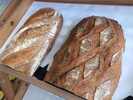 Organic Bread - Farina Bakery
