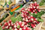 Organic Radishes