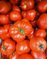 Pomodori bio negozio - La Roulotte - Furiani, Corsica