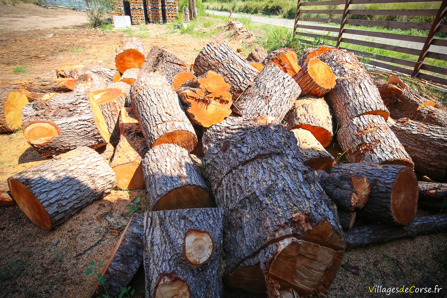 Acheter du Bois de Chauffage en Haute-Corse - Bastia - Corse - Vente en  ligne