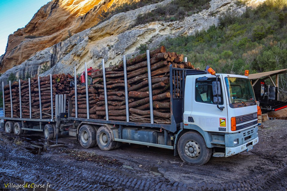 Bois de chauffage - Achat et livraison à domicile en France