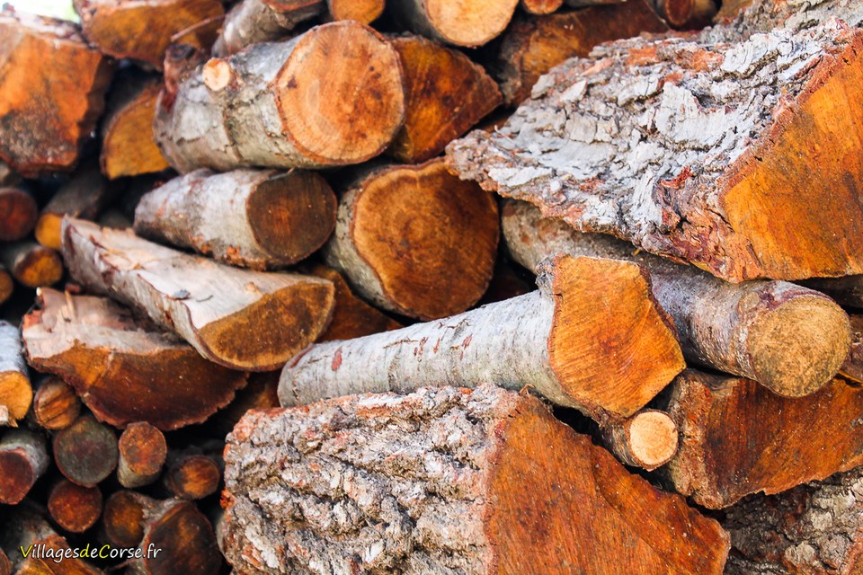 Acheter du Bois de Chauffage en HauteCorse  Bastia  Vente BRF Corse
