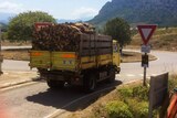 Livraison de bois de chauffage