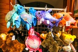 Peluche corsi - A Sporta - Corte
