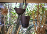 Hanging flower pot - Caruli Ceramics - Aregno