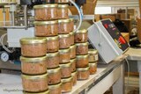 Produzione artigianale - Terrine