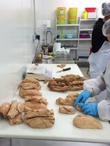 Produzione di foie gras della Corsica