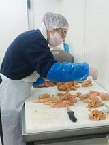 Fabrication de foie gras corse