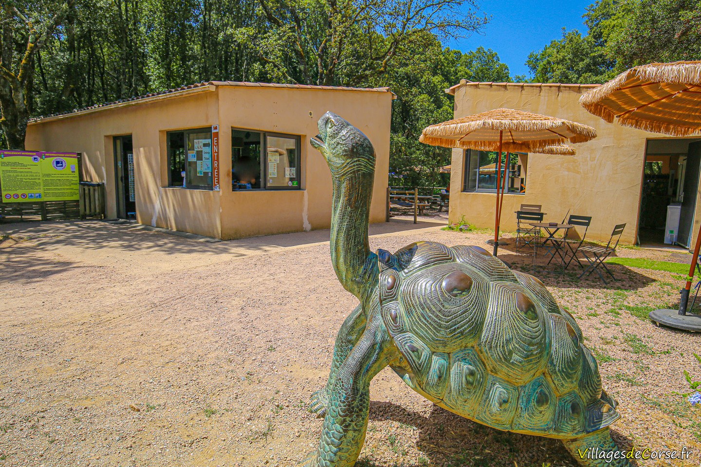 Accueil du parc A Cupulatta