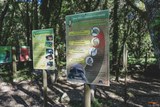 Parco delle tartarughe A Cupulatta Vero