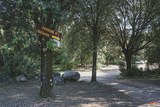 Parc Tortues A Cupulatta Vero