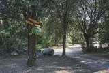 Parco delle tartarughe A Cupulatta Vero