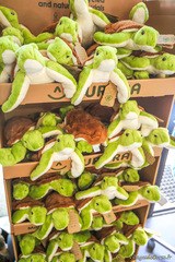 Peluches tortues parc