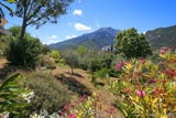 Giardino - Hôtel Si Mea - Corte, Corsica