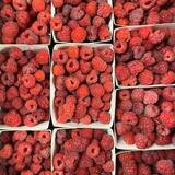 Framboises Bio