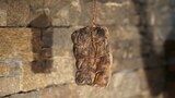 Lonzu corso - Salumeria artigianale Casa Serena - Cauro