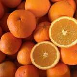 Arance bio di Corsica - Produttore L'Ortu di San Ghjuvà - Cauro