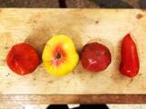 Variétés de tomates - Bio