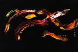 Traversée ardente - Flux