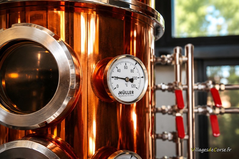 Dettaglio dell'alambicco Müller - Distilleria Negroni - Calacuccia