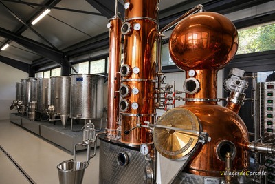 Müller-Kupferbrennblase - Brennerei Negroni - Calacuccia
