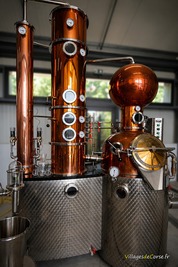 Alambicco Müller della Distilleria Negroni - Calacuccia - Niolu