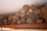 Weiden- und Myrtenzweige aus der Korsischen Flechterei von Calenzana