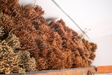 Wicker and Myrtle Strands from Calenzana Corsican Basketry