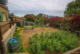 Jardin - Location de studio mini-villa à Calenzana, Balagne, Haute-Corse