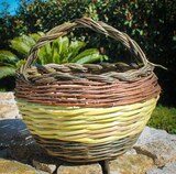 Wicker Basket with Myrtle and Olive