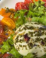 Tomato burrata - Chez Marc Restaurant - Centuri, Corsica