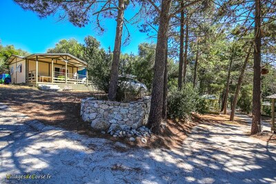Camping La Pinède entre Oletta et Saint-Florent