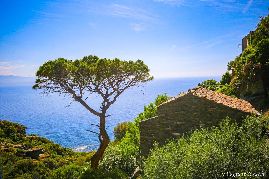 Guests rooms Casa Lisa - Accommodation - Corsica