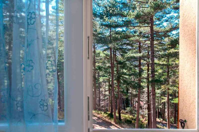 Vue forêt