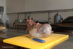 Pork belly