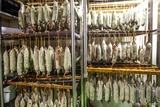 Corsican sausage