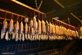 Sausages hanging in the aging room, Battaglia charcuterie in Vallecalle