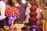 Catering per matrimoni in Corsica