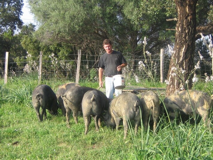 Jean pascal piazzoli eleveur producteur charcuterie corse